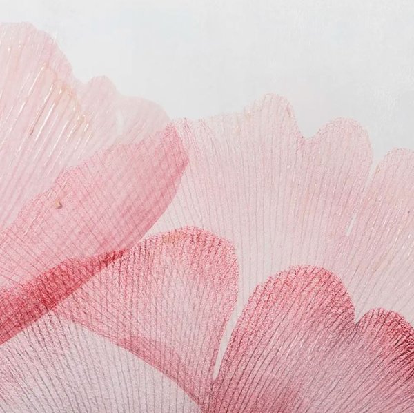 Pareja de lienzos impreso flores de gimgko rosas