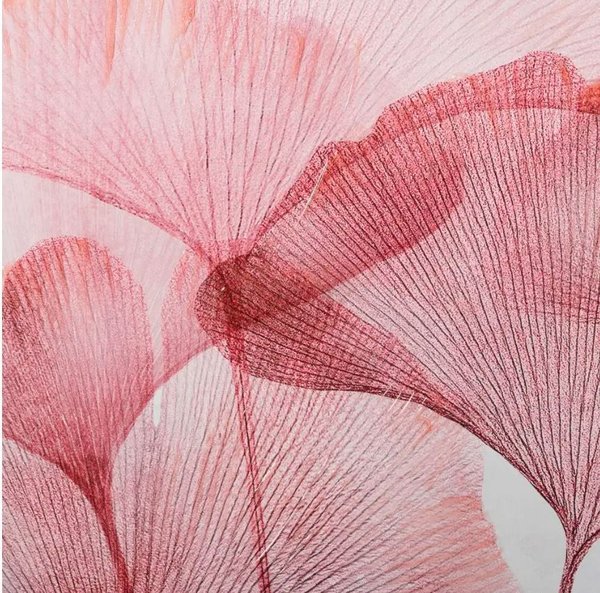 Pareja de lienzos impreso flores de gimgko rosas