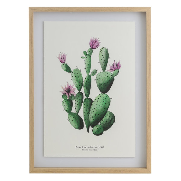 Cuadro cactus verde