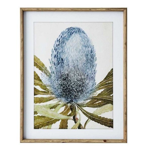 cuadros flor cactus azul